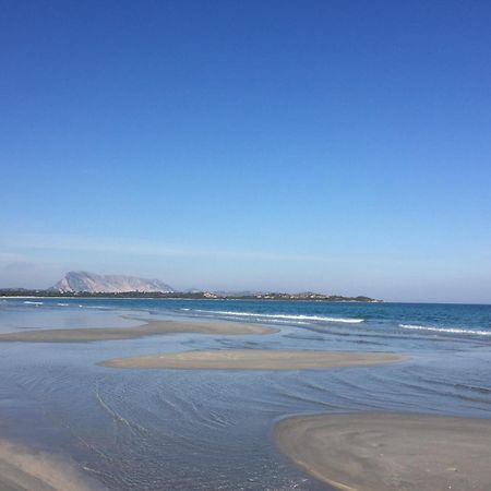Hotel Al Faro Spiaggia La Cinta Santeodoro Сан-Теодоро Екстер'єр фото