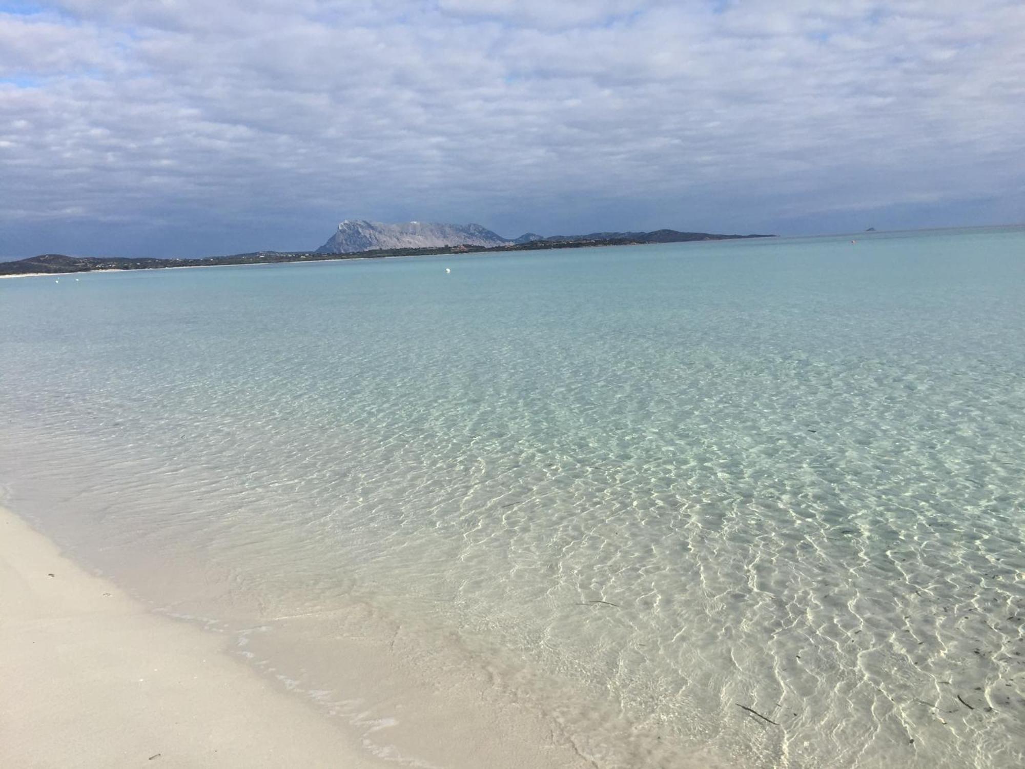 Hotel Al Faro Spiaggia La Cinta Santeodoro Сан-Теодоро Екстер'єр фото